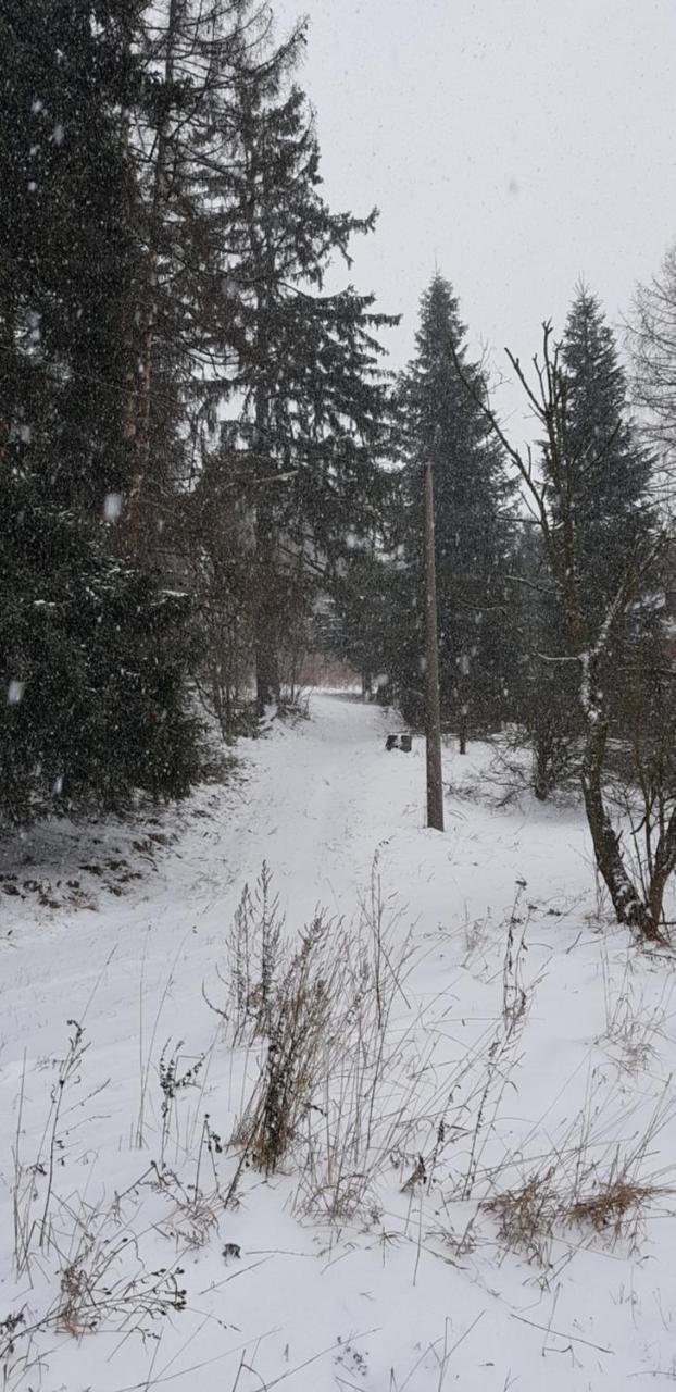 Chata Na Kovarne Rýmařov 외부 사진